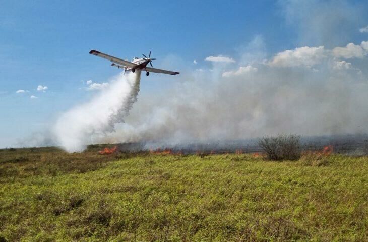 Imagem de compartilhamento para o artigo Com apoio aéreo, bombeiros atuam em incêndios florestais e resgates no Pantanal da MS Todo dia